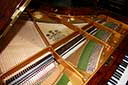 Flügel-Bechstein-A-185-Klassik-Wurzelnuss-138619-9-b