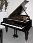 Flgel-Bechstein-B-schwarz2-1-b