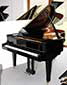 Flgel-Kawai-RX-5-schwarz-2600493-1-b