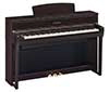 CLP-775-Rosenholz-b