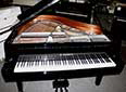 Flügel-Kawai-GL10-Silber-schwarz-3-b